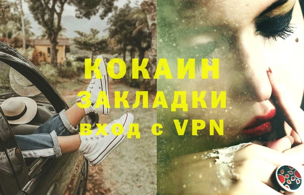 твердый Аркадак