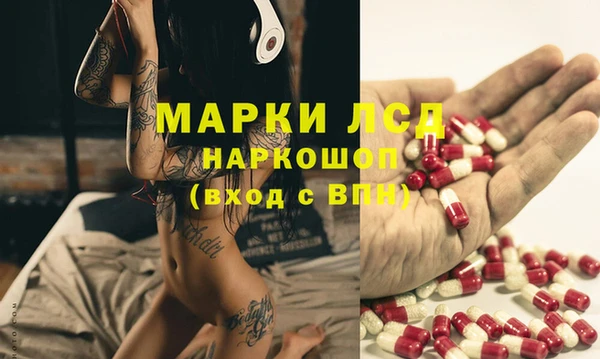 твердый Аркадак